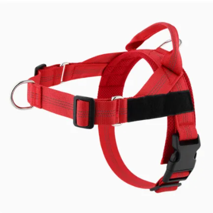Avearo Personalised No-Pull Dog Harness 2.0