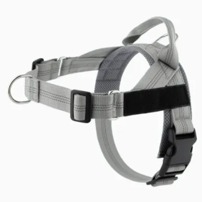 Avearo Personalised No-Pull Dog Harness 2.0