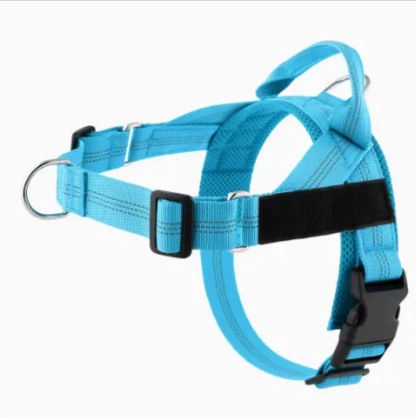 Avearo Personalised No-Pull Dog Harness 2.0