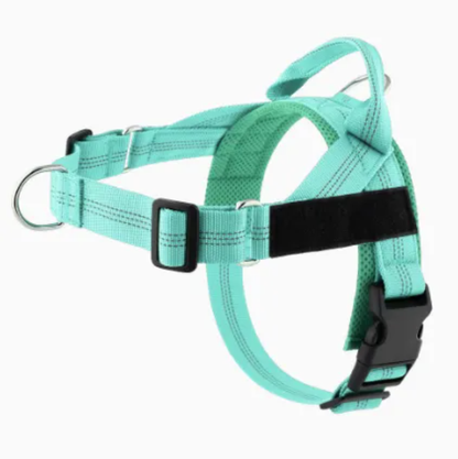 Avearo Personalised No-Pull Dog Harness 2.0
