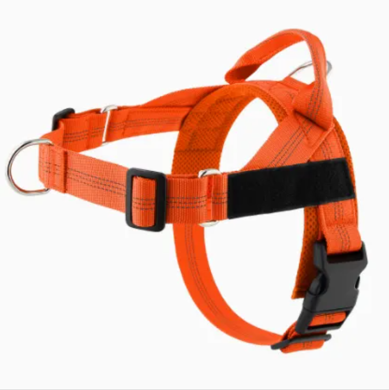 Avearo Personalised No-Pull Dog Harness 2.0