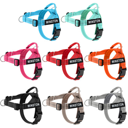 Avearo Personalised No-Pull Dog Harness 2.0