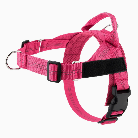 Avearo Personalised No-Pull Dog Harness 2.0
