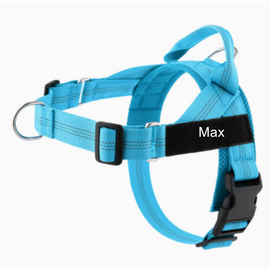 Adjustable Dog Harness with Leash for Medium Large Dogs