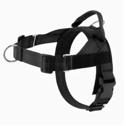 Avearo Personalised No-Pull Dog Harness 2.0